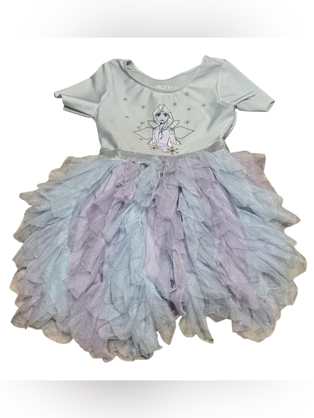 Disney Frozen II Elsa Dress 2T Purple Blue Tulle Costume